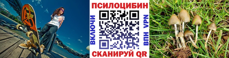 Галлюциногенные грибы мухоморы  Тбилисская 